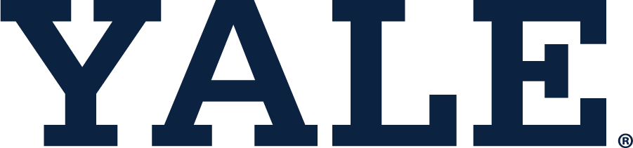 Yale Bulldogs 1935-Pres Wordmark Logo diy iron on heat transfer